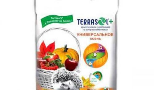 Чем удобрить осенью яблоню. Чем подкормить яблоню осенью для хорошей зимовки и высокого урожая 08 Чем удобрить осенью яблоню. Чем подкормить яблоню осенью для хорошей зимовки и высокого урожая 08