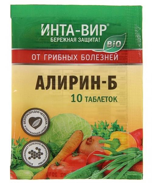 Гниют плоды на дереве. Меры борьбы