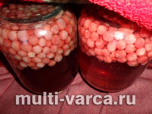 Как сажать войлочную вишню. Посадка войлочной вишни весной: основные моменты 05