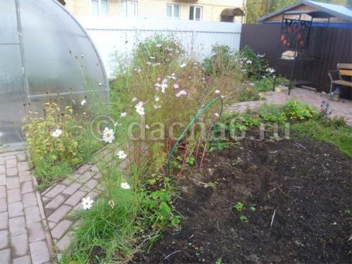 Чем удобрить осенью яблоню. Чем подкормить яблоню осенью для хорошей зимовки и высокого урожая 15 Чем удобрить осенью яблоню. Чем подкормить яблоню осенью для хорошей зимовки и высокого урожая 15