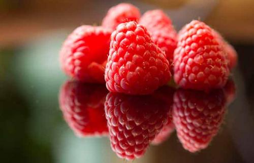 Чем обработать малину от червей в ягодах. Защитите ягоды малины от червей — советы по профилактике