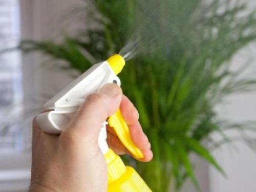 Уход за декоративным перцем в домашних условиях. Лучшие условия для перца 06