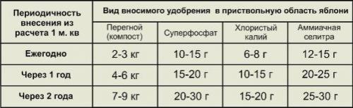 Чем подкормить молодую грушу осенью. Чем лучше подкормить яблоню и грушу осенью для лучшей зимовки и богатого урожая?