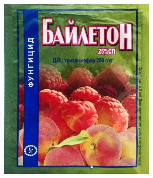 Чем побрызгать виноград от мучнистой росы. Мучнистая роса на винограде, как бороться, чем обрабатывать?