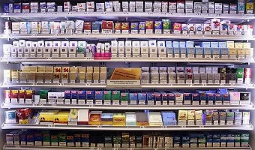 Выращивание табака в России. Выращивание табака в домашних условиях 03