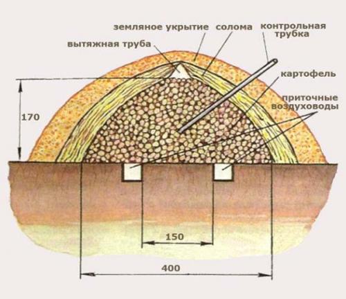 Ящик для картошки в погребе. Где и как хранить: способы хранения картофеля