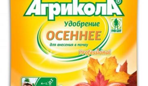 Чем удобрить осенью яблоню. Чем подкормить яблоню осенью для хорошей зимовки и высокого урожая 05 Чем удобрить осенью яблоню. Чем подкормить яблоню осенью для хорошей зимовки и высокого урожая 05