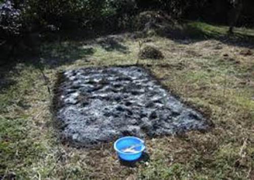 Пыловка для огорода применение. Разновидности и их использование 08 Пыловка для огорода применение. Разновидности и их использование 08