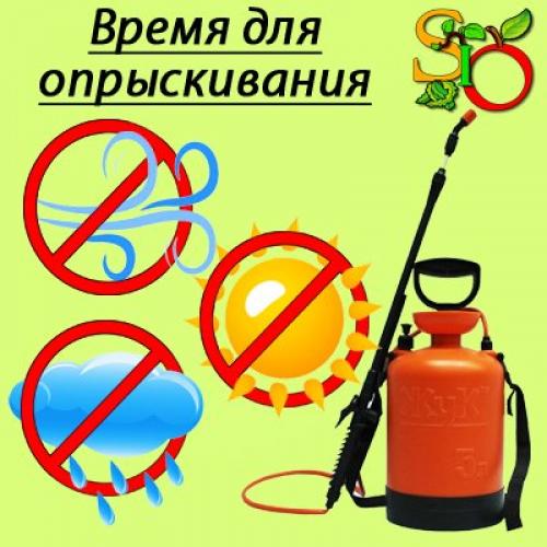 Опрыскивание винограда перед укрытием на зиму. Фунгицидами 09 Опрыскивание винограда перед укрытием на зиму. Фунгицидами 09