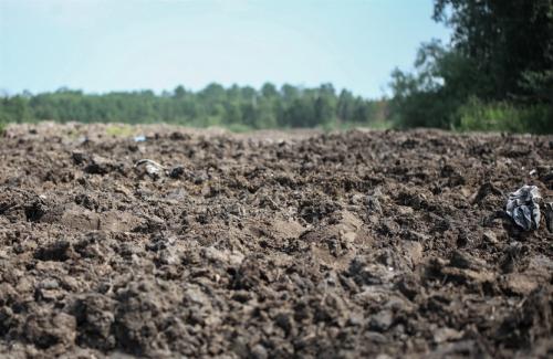 Перепревший куриный помет. Применение удобрения