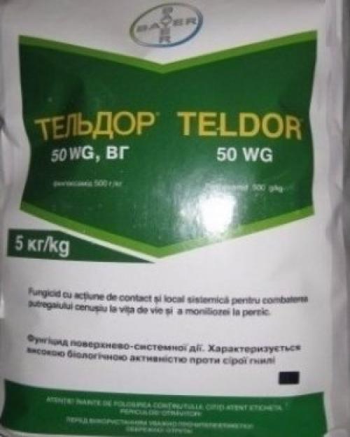 Почему яблоки на яблоне гниют. Что делать, если яблоки гниют на дереве? 09