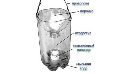 Йод от личинок майского жука. Как избавиться от личинок майского жука на клубнике