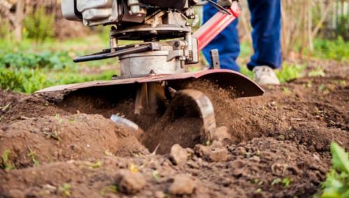 Как копают картошку мотоблоком. Правильная настройка техники – залог успеха уборки урожая 04