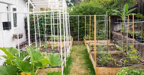 Как сделать грядки. Как сделать высокие грядки своими руками.