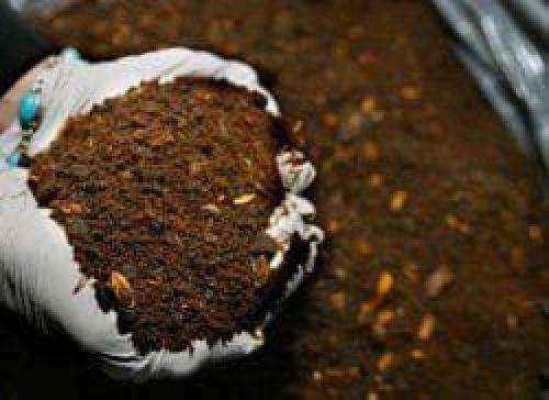 Как правильно развести куриный помет. Польза