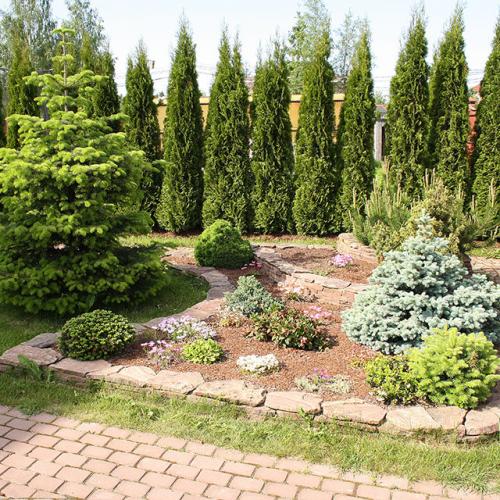 Мульча из сосновой коры