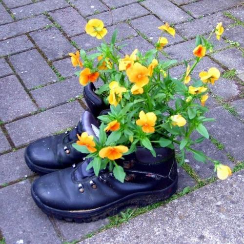 Боты как цветник. Идея для сада 05