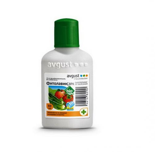 Плодовая гниль яблони народные средства. Фунгициды от монилиоза