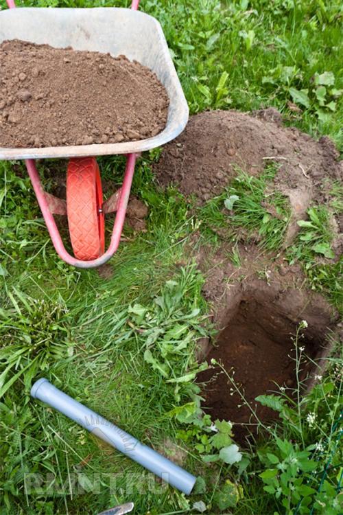 Посадка винограда осенью саженцами на кубани. Правила посадки виноградных саженцев 02 Посадка винограда осенью саженцами на кубани. Правила посадки виноградных саженцев 02