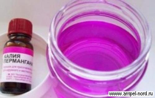 Опрыскивание винограда перед укрытием на зиму. Фунгицидами 07