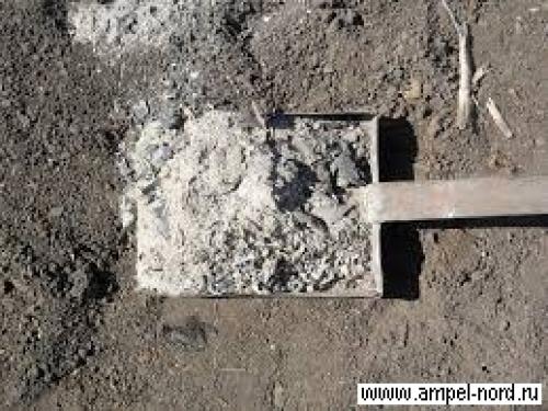 Опрыскивание винограда перед укрытием на зиму. Фунгицидами 05