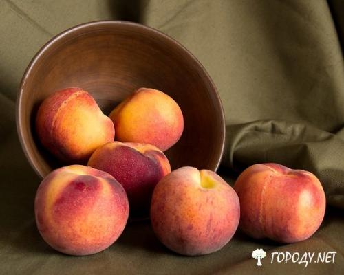 Как правильно сажать персик осенью. Когда лучше всего сажать персик — осенью или весной? 02 Как правильно сажать персик осенью. Когда лучше всего сажать персик — осенью или весной? 02