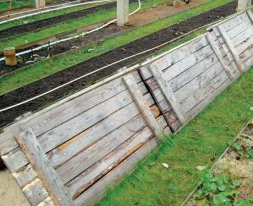 Виноград на зиму когда укрывают. Когда и какое необходимо укрытие