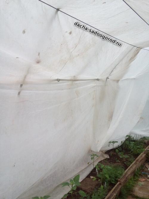 Парник из спанбонда своими руками. Как закрепить спанбонд внутри теплицы. Очень простой крепеж