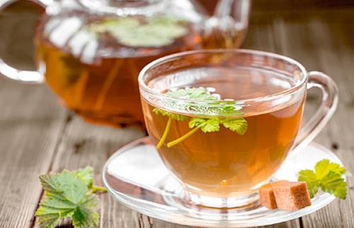 Черная смородина сорта лучшие сорта для подмосковья. Сорта смородины: ТОП популярности