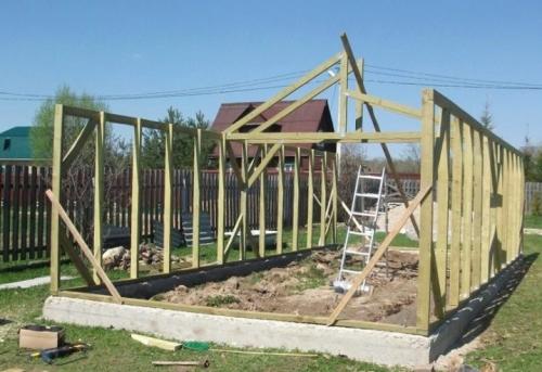 Как сделать парник своими руками для перцев. Как сделать парник для перцев своими руками 10 Как сделать парник своими руками для перцев. Как сделать парник для перцев своими руками 10