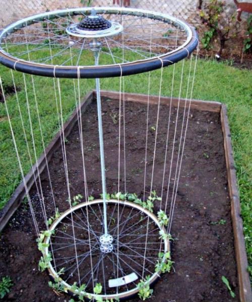 Как правильно сделать шпалеры для малины. Какие виды шпалер существуют, как сделать своими руками, инструкции и опыт участников FORUMHOUSE