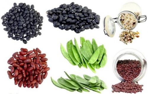 Что в огороде можно посадить в тени. Декоративные растения для тени 11 Что в огороде можно посадить в тени. Декоративные растения для тени 11