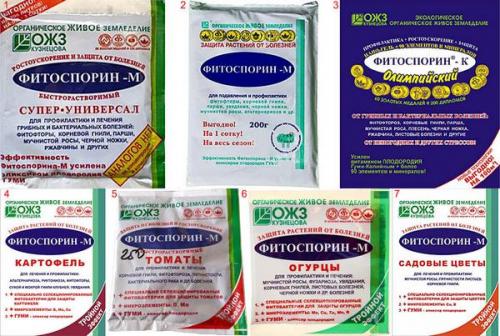 Обработка почвы фитоспорином осенью. Фитоспорин: как применять и для чего