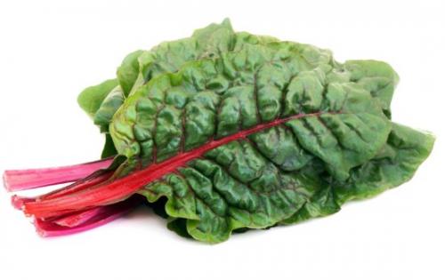 Что в огороде можно посадить в тени. Декоративные растения для тени 06 Что в огороде можно посадить в тени. Декоративные растения для тени 06