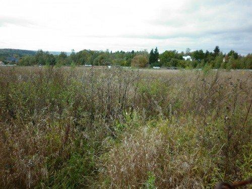 Как быстро вскопать целину. Как облегчить обработку целины. Оригинальные способы.