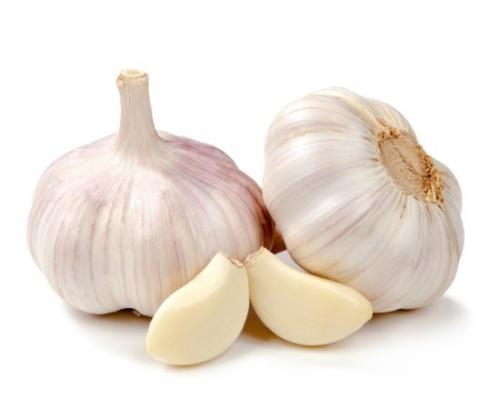 Что в огороде можно посадить в тени. Декоративные растения для тени 09 Что в огороде можно посадить в тени. Декоративные растения для тени 09