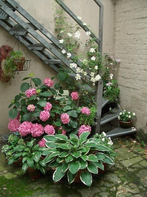 Интересные композиции в контейнерах 05