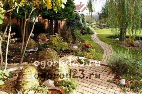 Укрытие роз на зиму. Чем укрыть розы, чтобы сохранить их зимой?