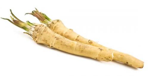 Что в огороде можно посадить в тени. Декоративные растения для тени 05 Что в огороде можно посадить в тени. Декоративные растения для тени 05