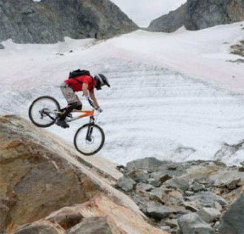 Правильная посадка ремонтантной малины осенью. Выбор места для посадки и схема посадки ремонтантной малины осенью 01