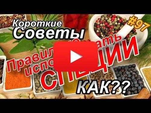 Картофельные очистки и смородина. Как применять удобрение? 08 Картофельные очистки и смородина. Как применять удобрение? 08