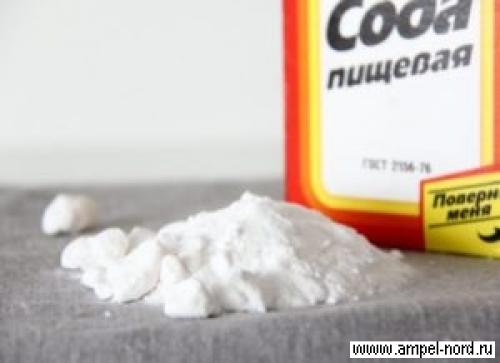 Обработка винограда от вредителей и болезней осенью. Обработка химическими препаратами 06 Обработка винограда от вредителей и болезней осенью. Обработка химическими препаратами 06