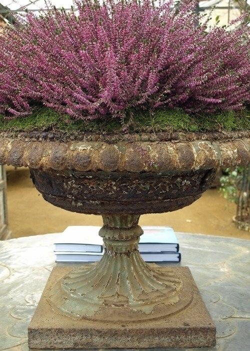 Интересные композиции в контейнерах 06