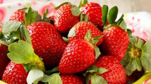 Как садить викторию под черную пленку. Как посадить клубнику под черный укрывной материал? 06 Как садить викторию под черную пленку. Как посадить клубнику под черный укрывной материал? 06