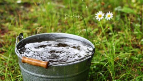 Обработка капусты валерьянкой. Как правильно обработать капусту от вредителей валерьянкой и жидким мылом