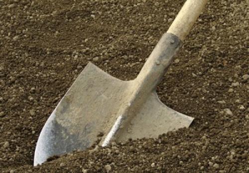 Чем осенью обеззаразить почву. Как и чем обработать землю осенью от болезней и вредителей: общие правила обработки грунта и эффективные народные средства