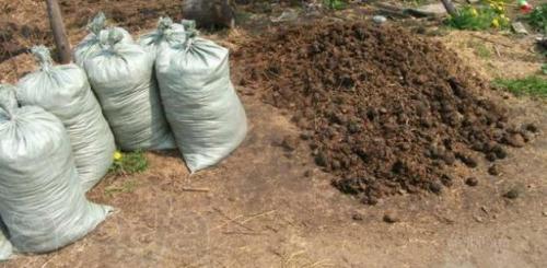 Как использовать конский навоз. Конский навоз: способы заготовки и применения 03