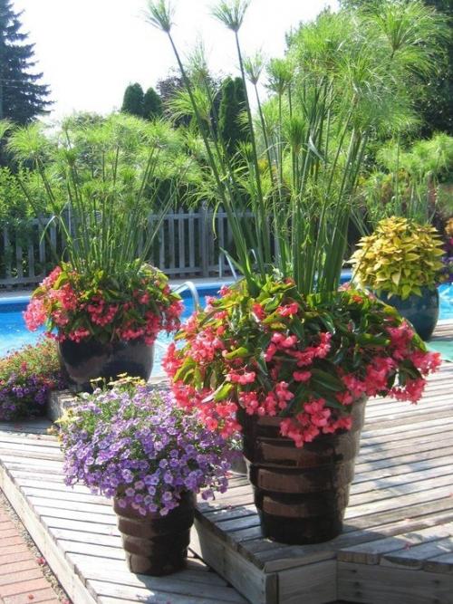 Интересные композиции в контейнерах 04