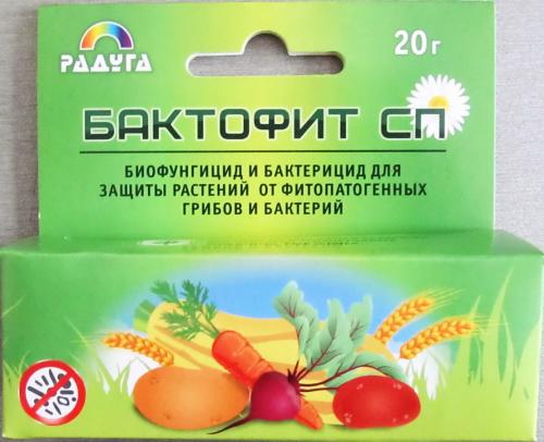 Обеззараживание почвы от грибковых инфекций. Как эффективно обеззаразить почву и вывести грибковую инфекцию