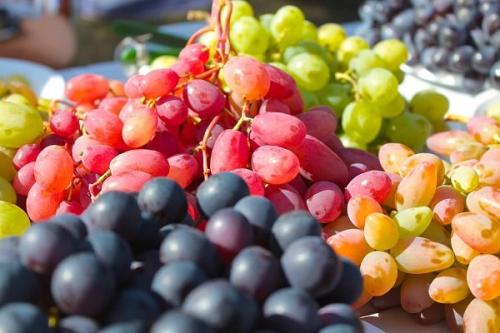 Когда убирать виноград на вино. Какой сорт винограда самый лучший?